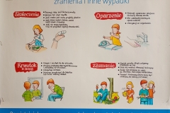 IMG_20250401_130252499_MFNR