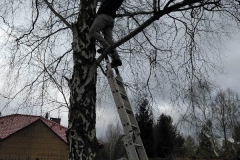 IMG-20210301-WA0001