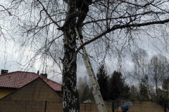 IMG-20210301-WA0004