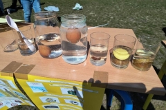 IMG-20250414-WA0002