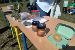 IMG-20250414-WA0006