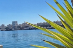 IMG-20241119-WA0046