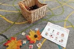 Innowacja PRZYGODY JEŻYKA BOROMIRKA. JESIENNA PODRÓŻ PRZEZ EMOCJE