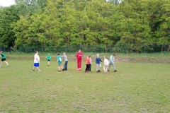 IMG_20250529_101622604_MFNR