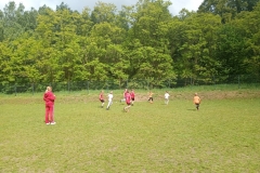 IMG_20250529_103931142_MFNR