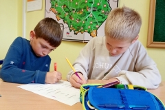 IMG_20251016_112007501_MFNR