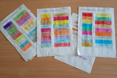 IMG_20251016_132754232_MFNR