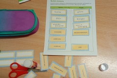 IMG_20251106_112728543_MFNR