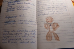Projekty i konkursy w klasie 3