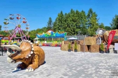 Zatorland - nie Energylandia, a Park Rozrywki w Zatorlandzie