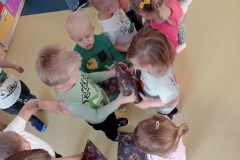 IMG20250307130930-1