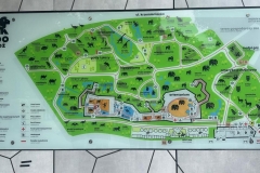 IMG-20250615-WA0018