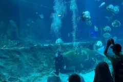 IMG-20250615-WA0037