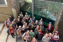 IMG-20250615-WA0039