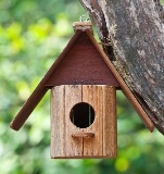 Czytaj więcej o: Domki dla ptaków