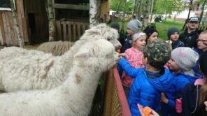 Czytaj więcej o: Obchody Dnia Dziecka w przedszkolu