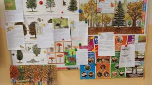 Czytaj więcej o: Projekt edukacyjny „Las”