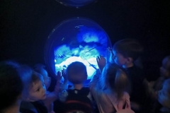 IMG-20260424-WA0008