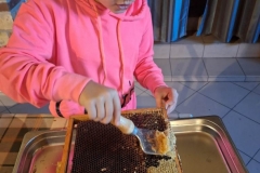 IMG-20260603-WA0028