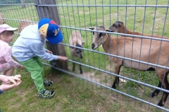 IMG-20260602-WA0057