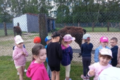 IMG-20260602-WA0061